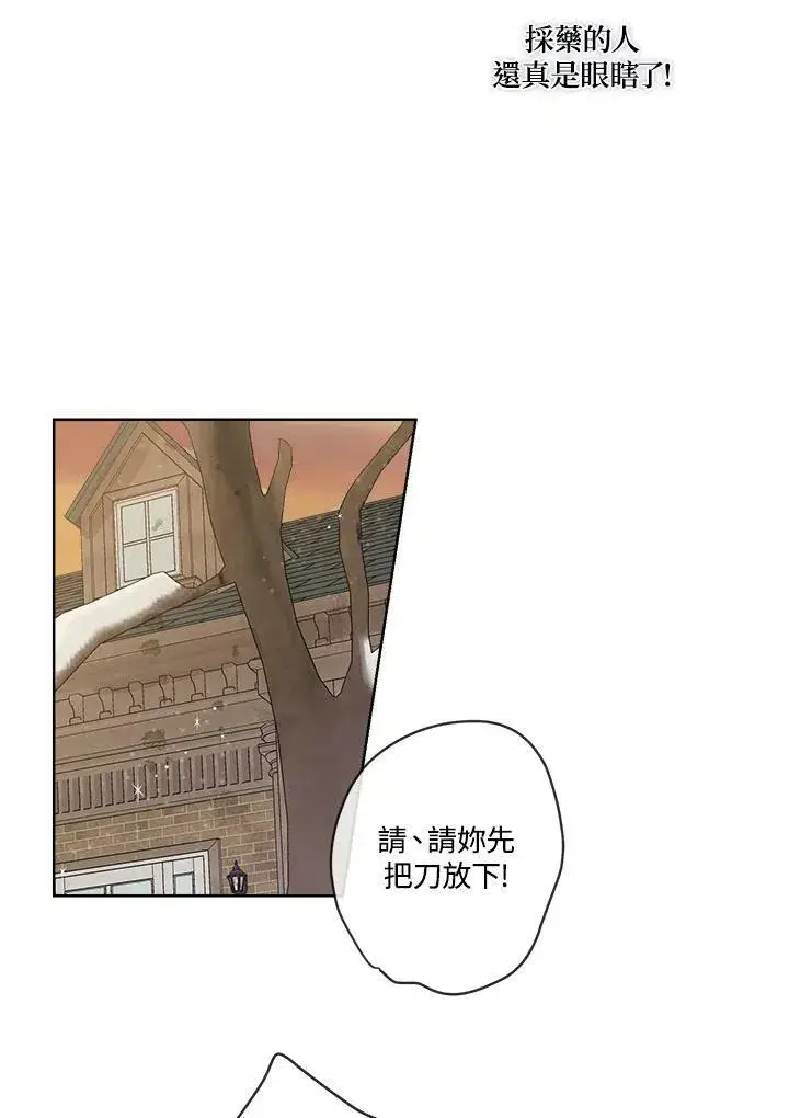 漫画《伯爵家私生女的婚后生活》第13话第66张图