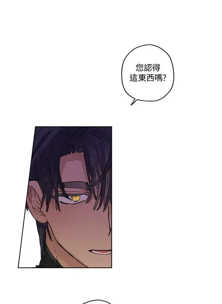 漫画《伯爵家私生女的婚后生活》第24话第27张图