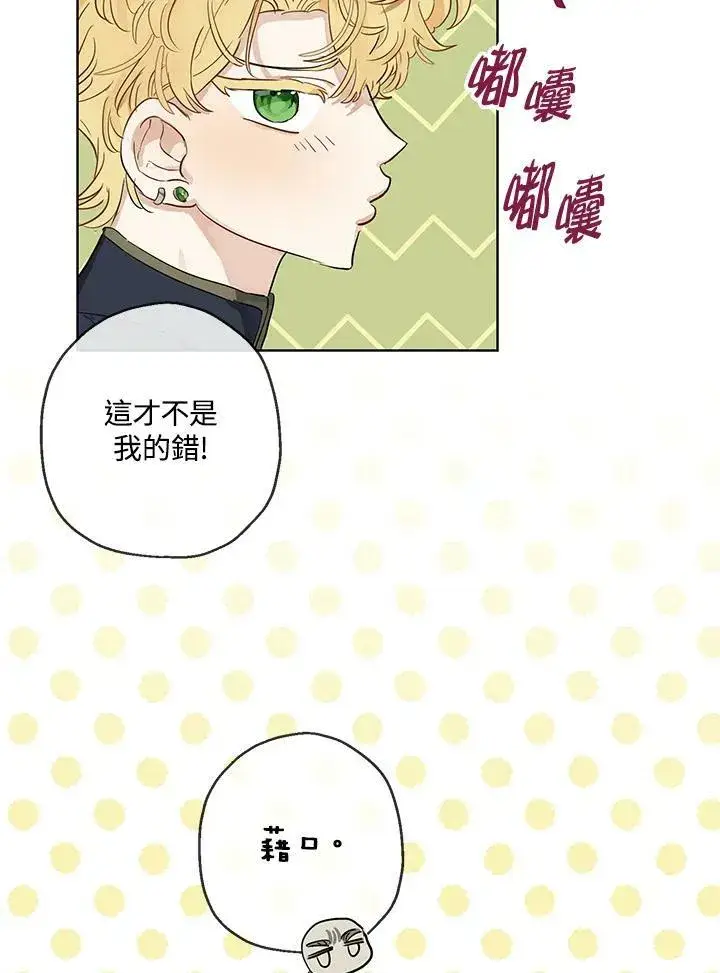 漫画《伯爵家私生女的婚后生活》第33话第17张图