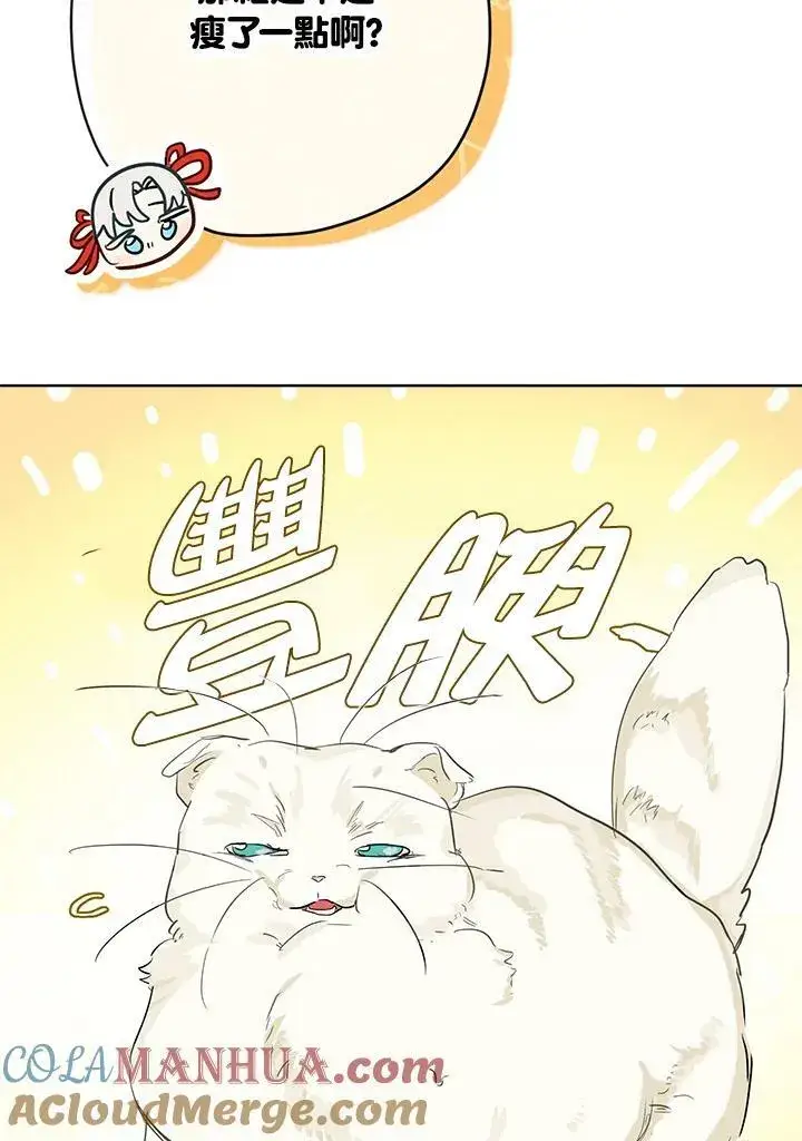 漫画《伯爵家私生女的婚后生活》第39话第46张图