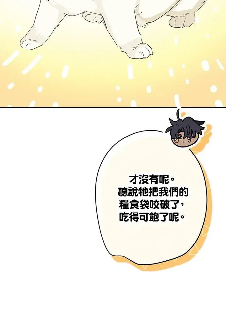 漫画《伯爵家私生女的婚后生活》第39话第47张图