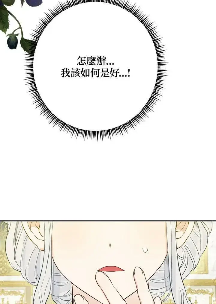 漫画《伯爵家私生女的婚后生活》第44话第33张图