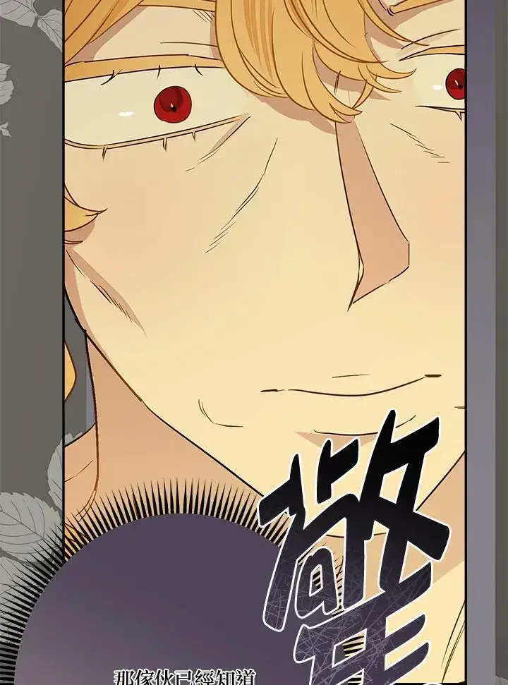漫画《伯爵家私生女的婚后生活》第77话第67张图