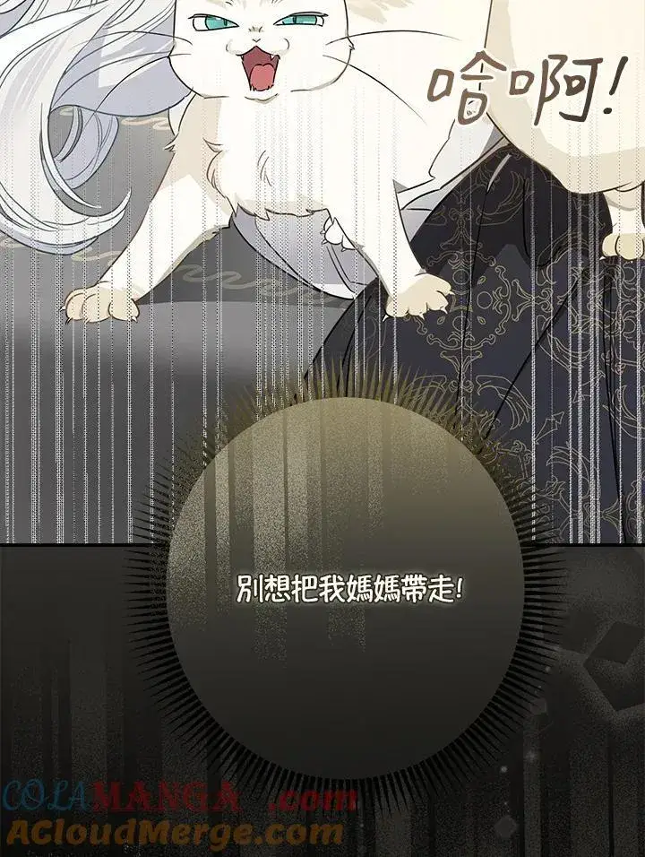 漫画《伯爵家私生女的婚后生活》第94话第81张图