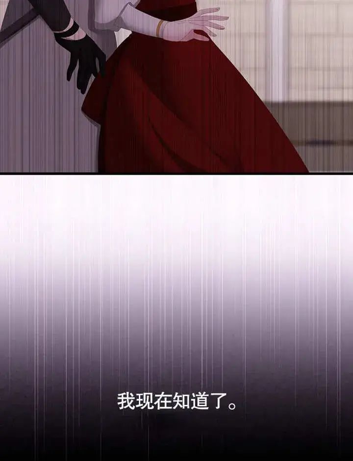 漫画《不得不成为恶女的理由》第28话第96张图