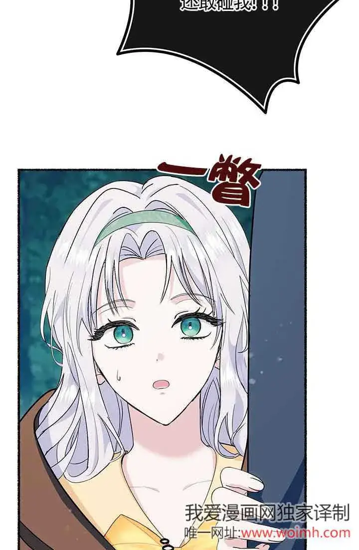 漫画《成了每晚和偏执暴君共眠的猫》第26话第46张图