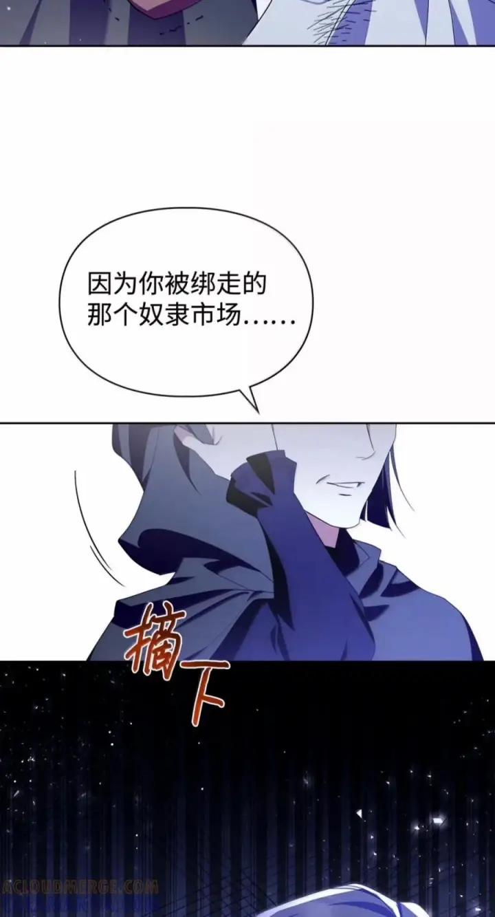 漫画《成为暴君的奸臣》82 借刀杀人第91张图