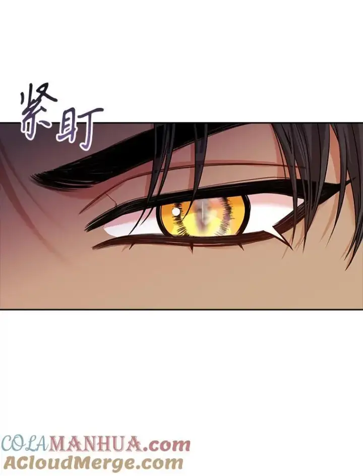 漫画《成为暴君的秘书官》100.知晓上一世第117张图
