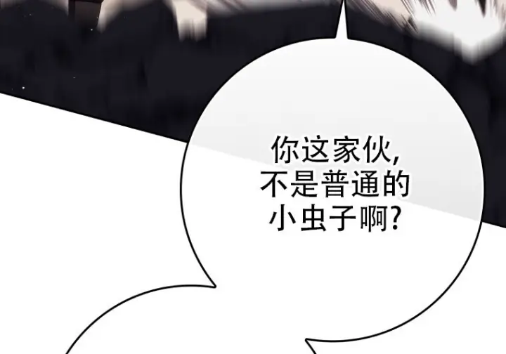 漫画《重生刺客是天才剑士》第85话第227张图