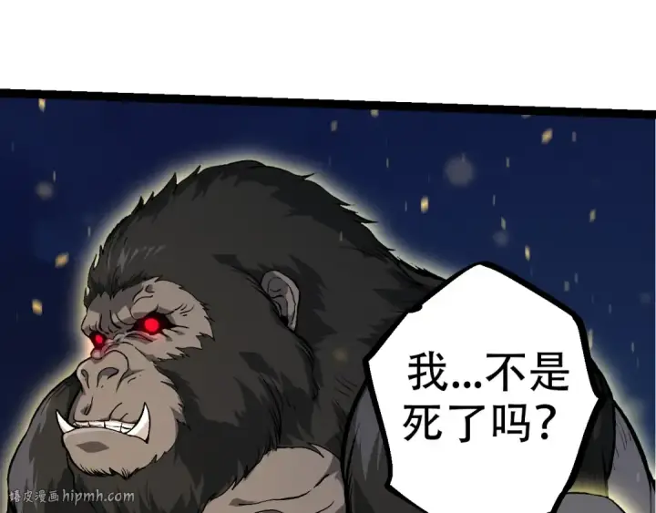 漫画《从大树开始的进化》第69话 都回来了第72张图