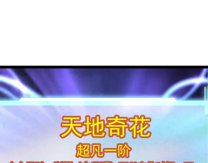 漫画《从大树开始的进化》第110话 本命天赋：刹那第17张图