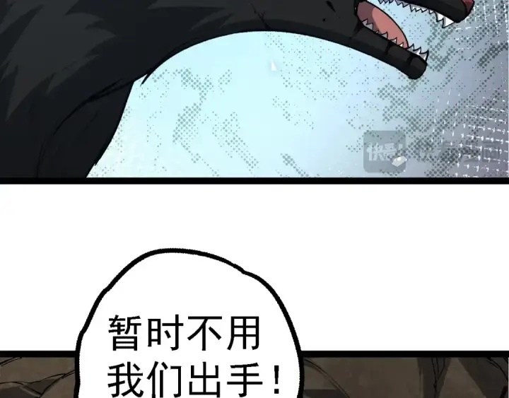 漫画《从大树开始的进化》第149话 闪光战虎第131张图