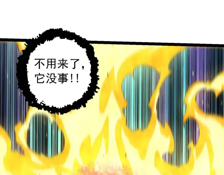 漫画《从大树开始的进化》第149话 闪光战虎第15张图