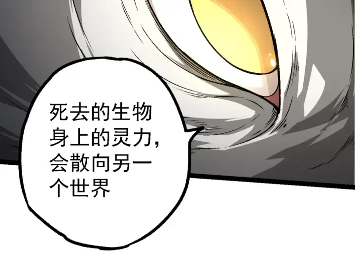 漫画《从大树开始的进化》第164话 黑暗的真相第78张图