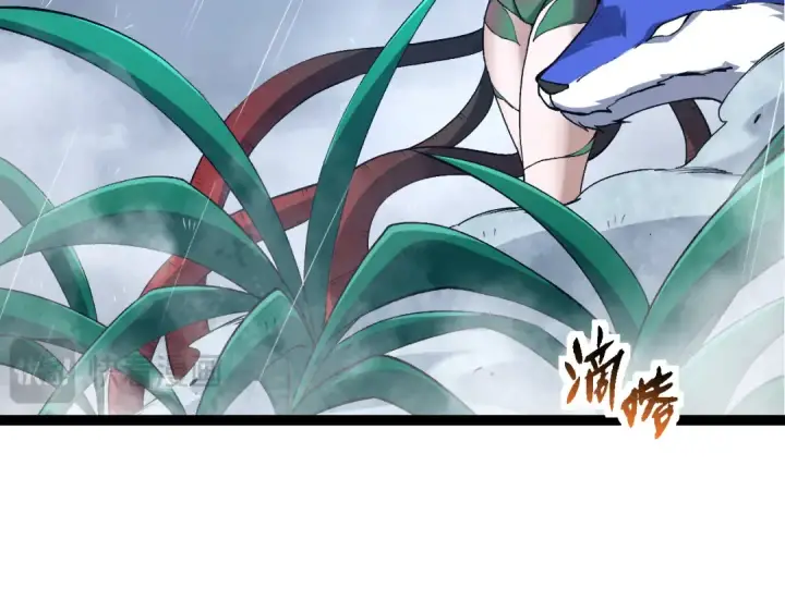 漫画《从大树开始的进化》第170话 小白与小蓝的冒险第39张图