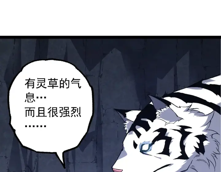 漫画《从大树开始的进化》第170话 小白与小蓝的冒险第5张图