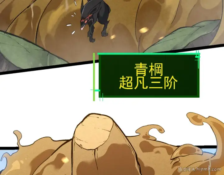 漫画《从大树开始的进化》第188话 战火第32张图