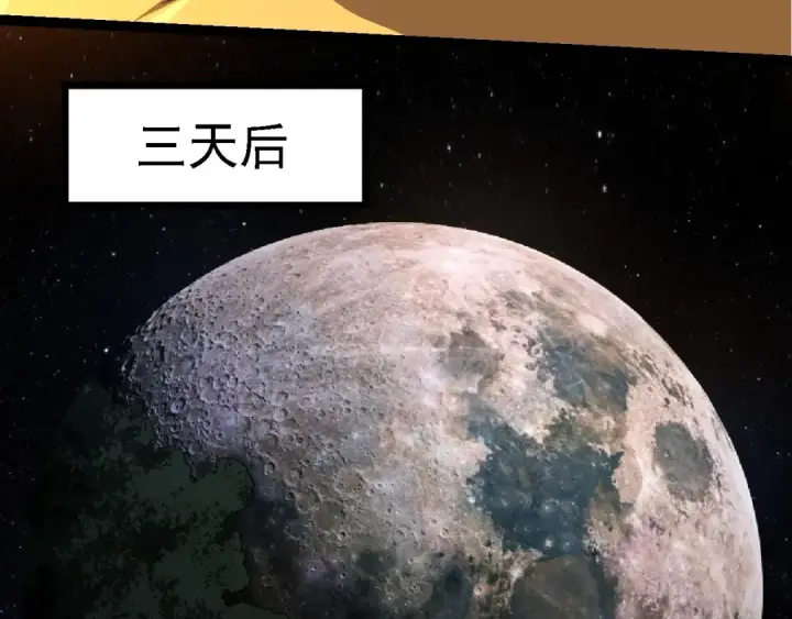 漫画《从大树开始的进化》第259话 凤凰朝拜第23张图