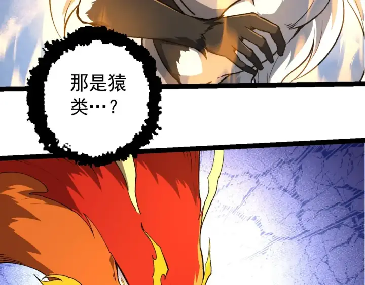 漫画《从大树开始的进化》第259话 凤凰朝拜第33张图