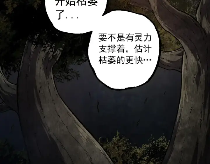 漫画《从大树开始的进化》第259话 凤凰朝拜第50张图
