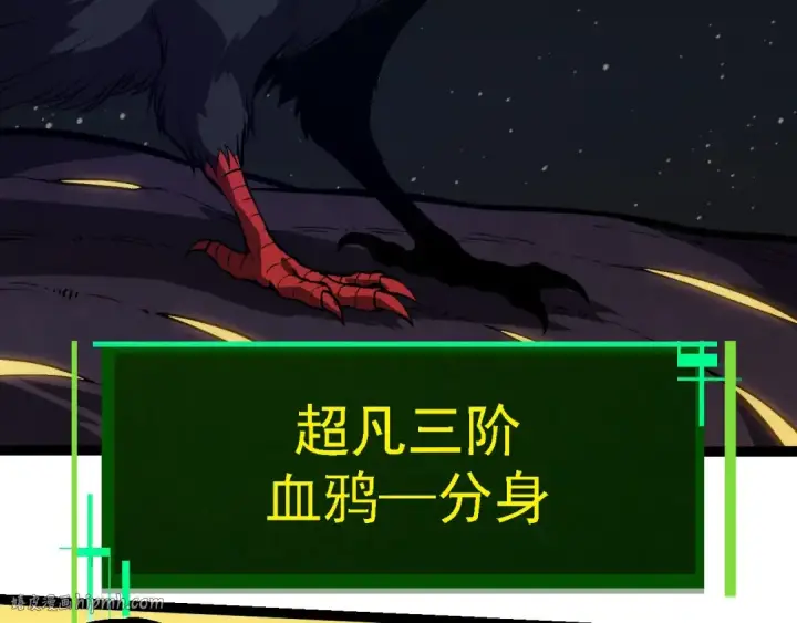 漫画《从大树开始的进化》第281话 强化虫洞第48张图