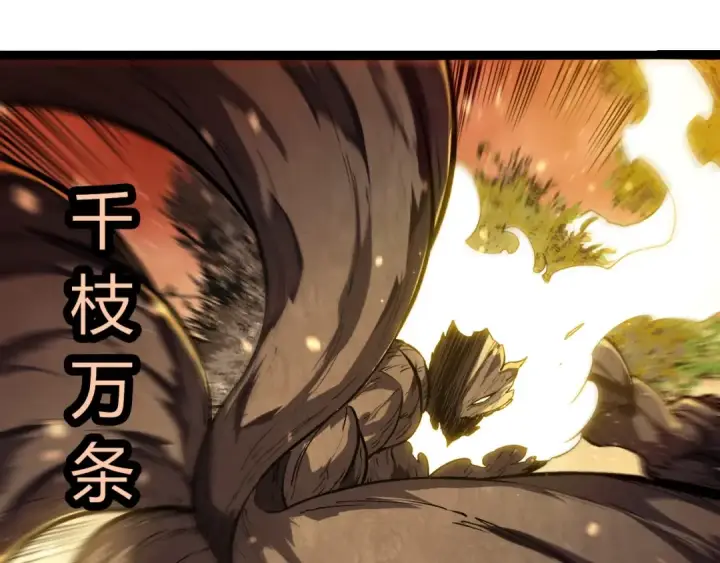 漫画《从大树开始的进化》第435话 神树与天使第79张图