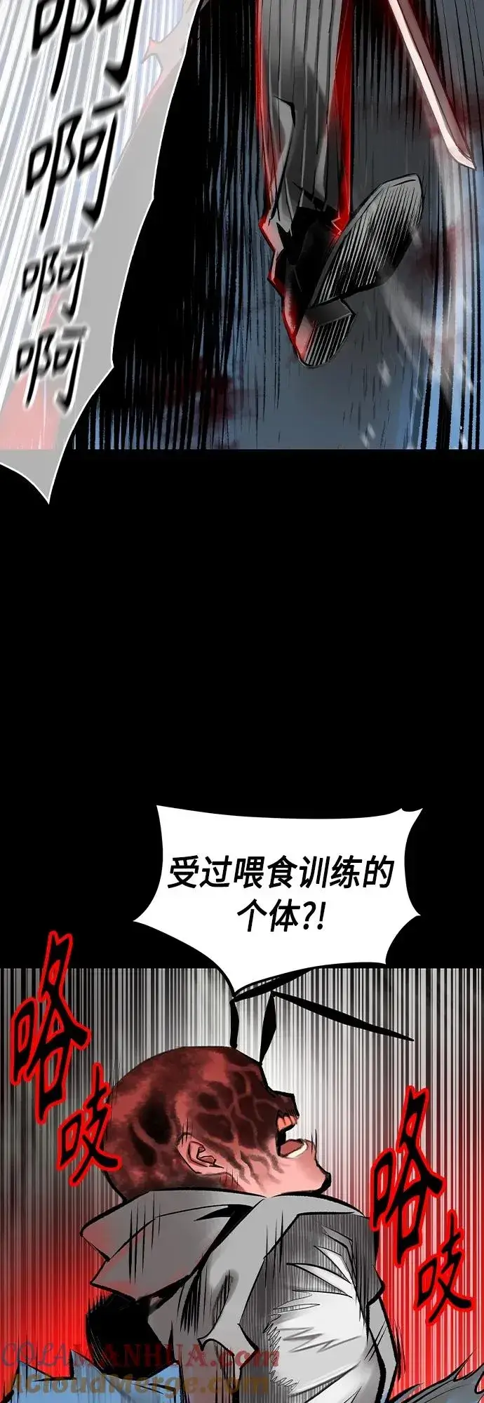 漫画《丛林果汁》第2季 第20话第13张图