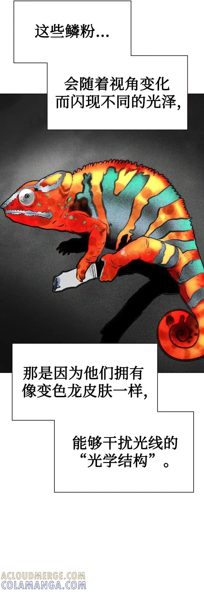 漫画《丛林果汁》第3季 第27话第21张图