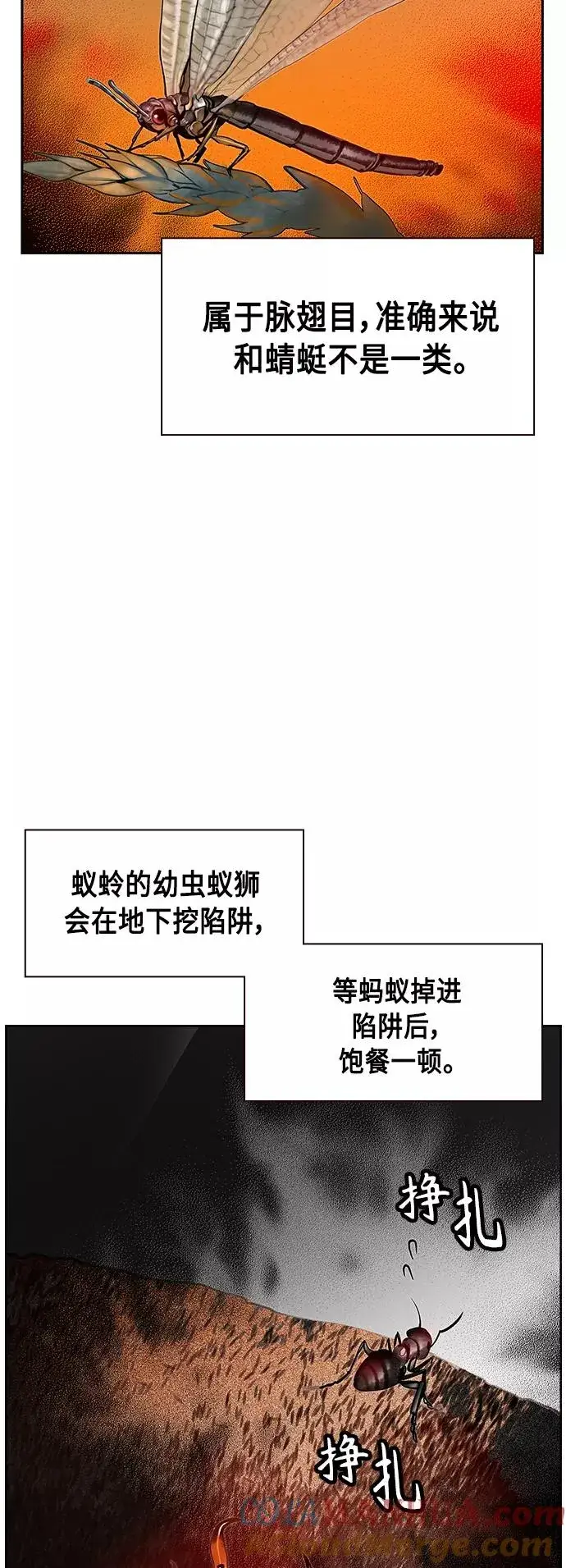 漫画《丛林果汁》第41话第49张图