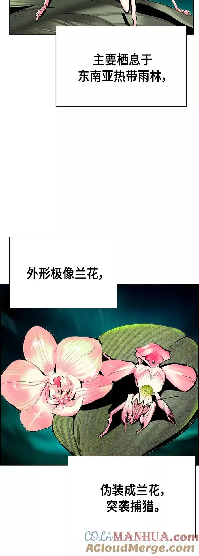 漫画《丛林果汁》第57话第4张图