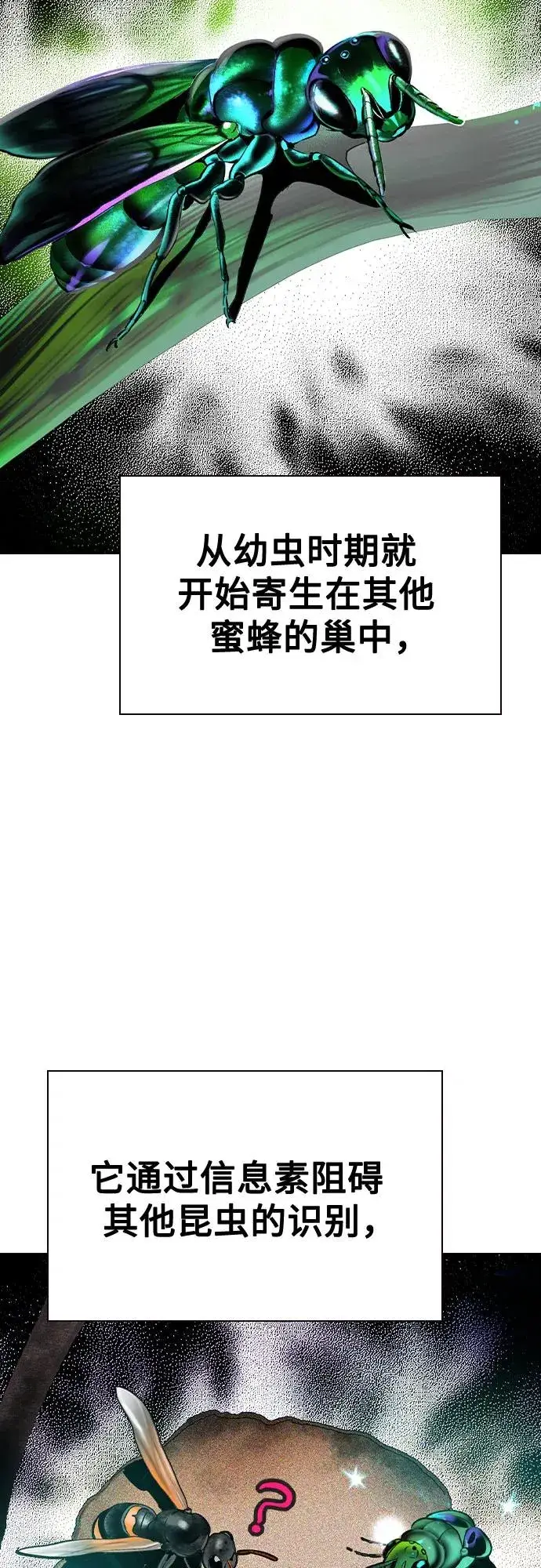 漫画《丛林果汁》第2季 第40话第48张图