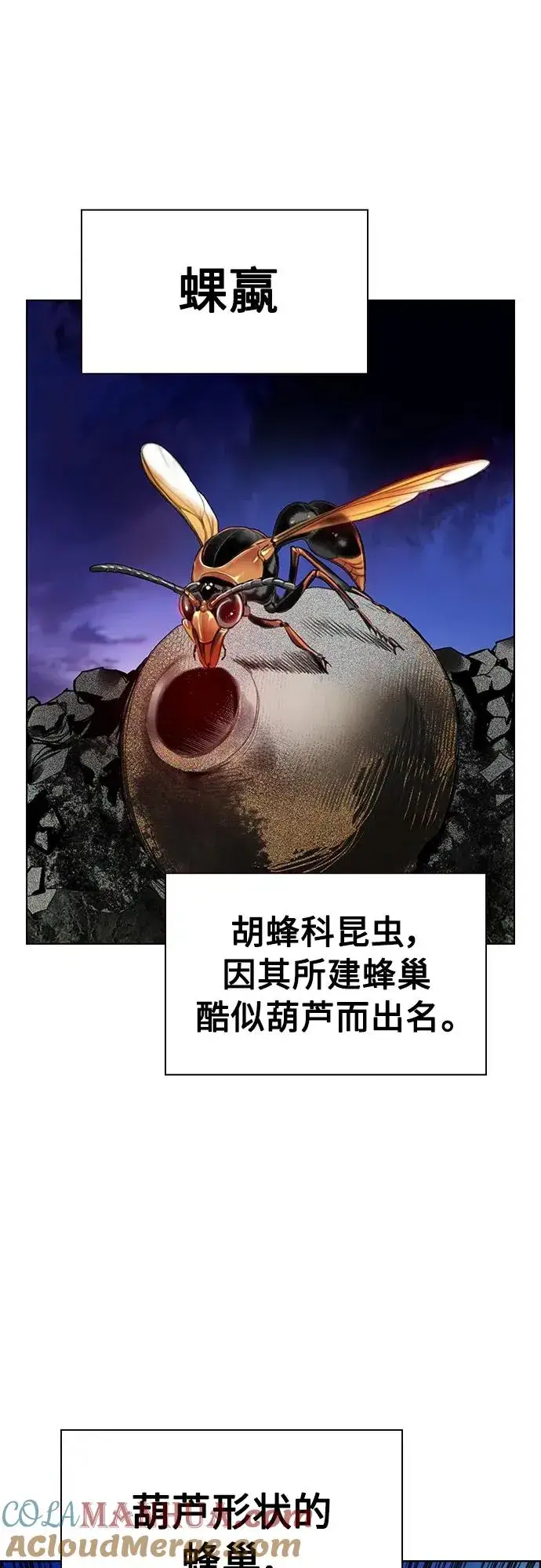 漫画《丛林果汁》第2季 第6话第52张图