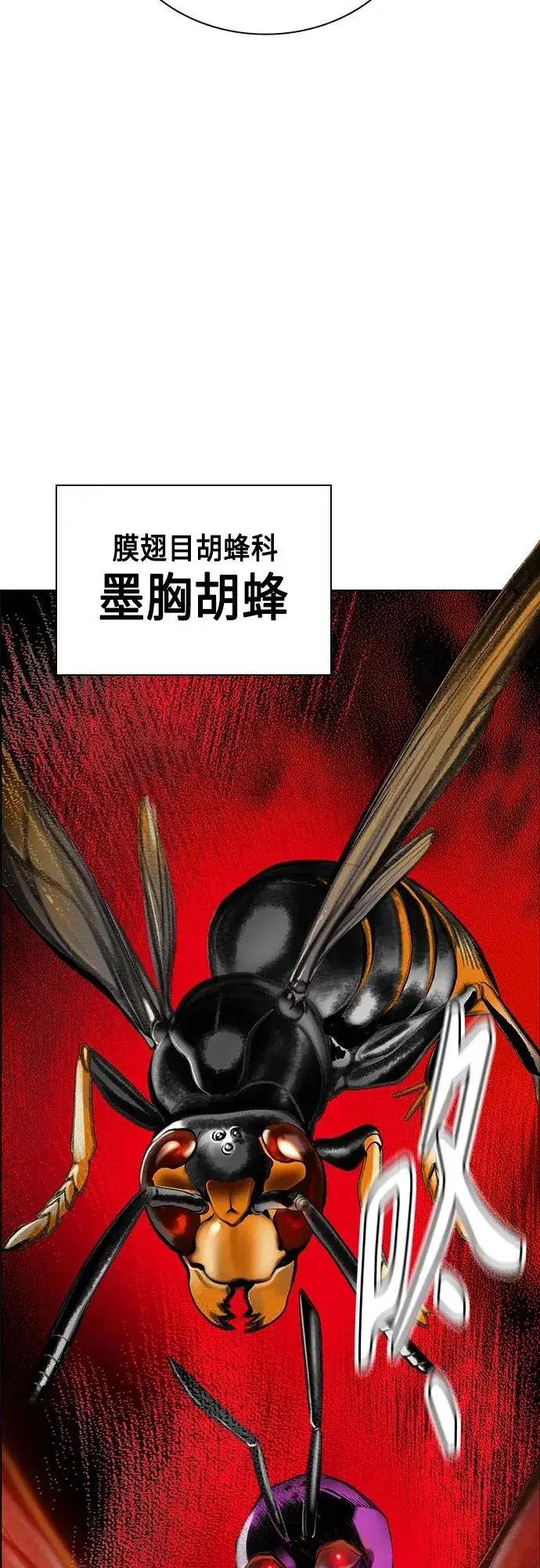 漫画《丛林果汁》第2季 第12话第18张图