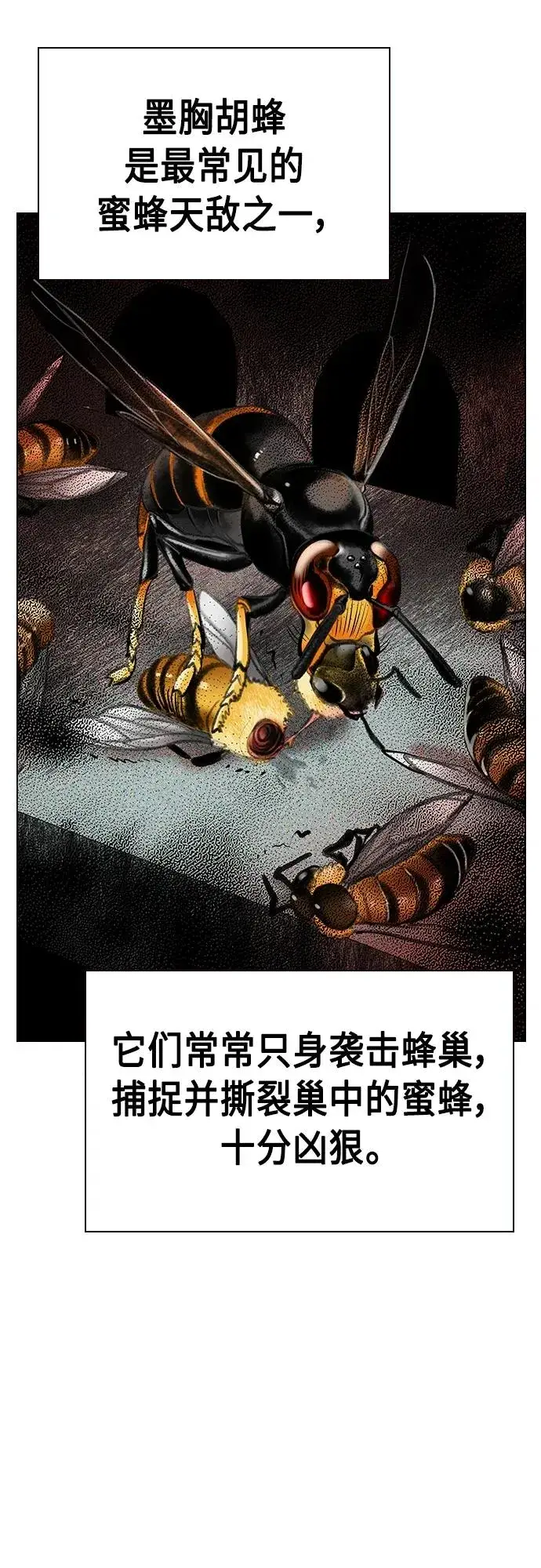 漫画《丛林果汁》第2季 第12话第20张图