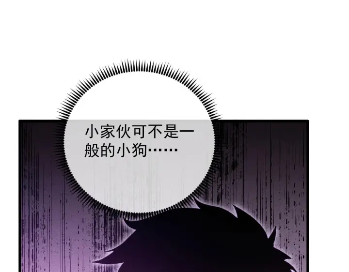 漫画《从末世崛起》178 压轴宝物·天价竞拍第72张图