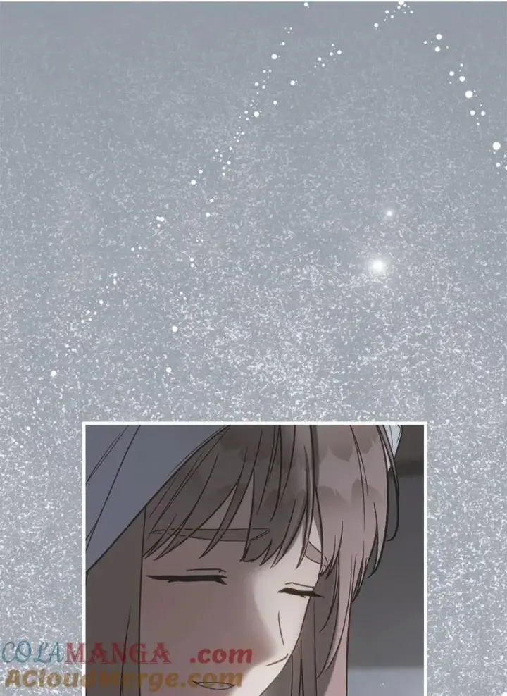 漫画《错把结婚当交易，却意外的甜蜜？》139 第三次机会第97张图