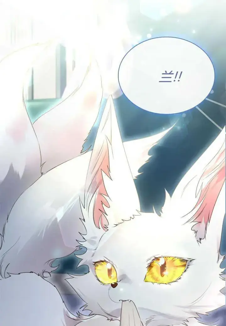 漫画《错养了九尾狐》第17话第15张图