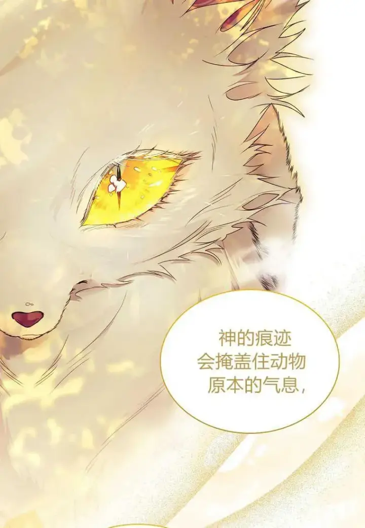 漫画《错养了九尾狐》第20话第19张图