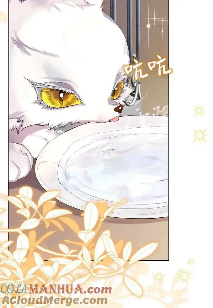 漫画《错养了九尾狐》第03话第81张图