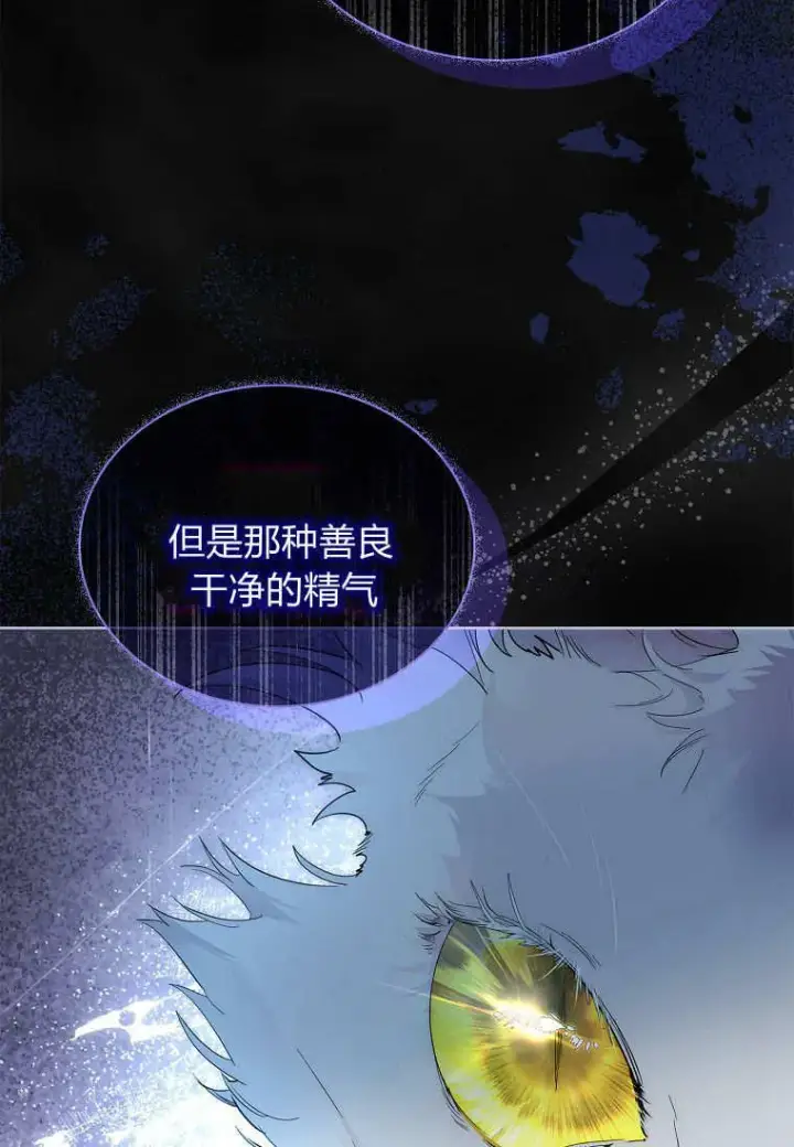 漫画《错养了九尾狐》第34话第19张图