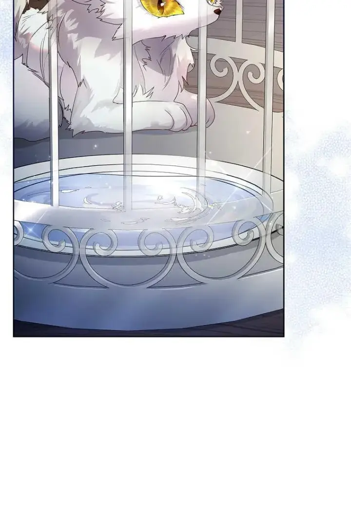 漫画《错养了九尾狐》第04话第43张图