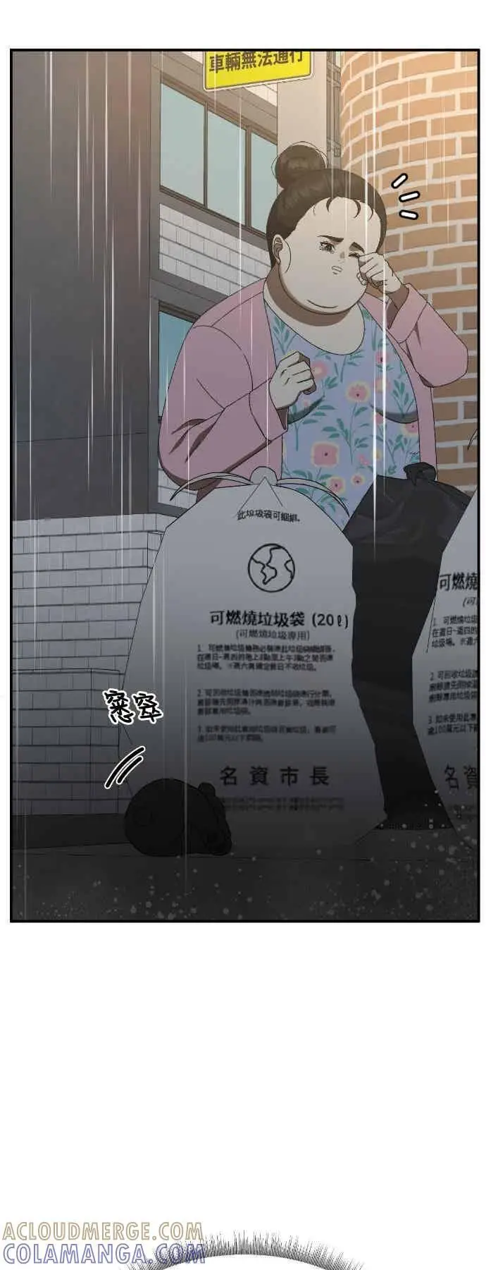 漫画《盗脸人生》S3 玄女主 2第22张图