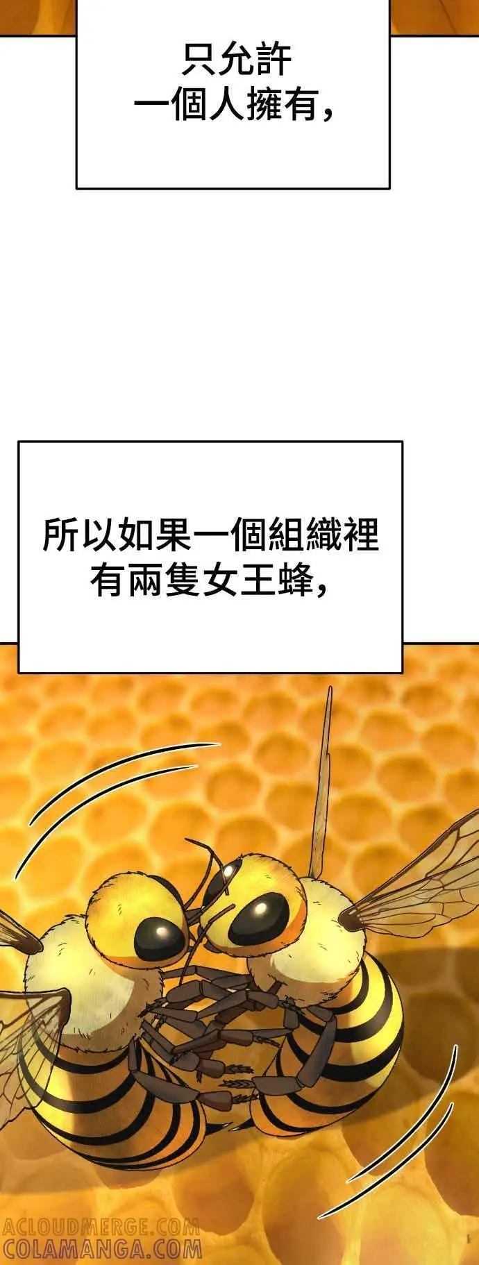 漫画《盗脸人生》S3 玄女主 4第49张图