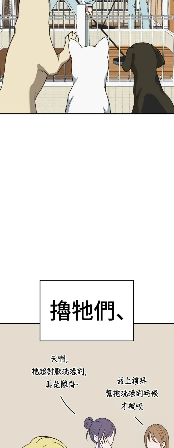 漫画《盗脸人生》S3 玄女主 8第39张图