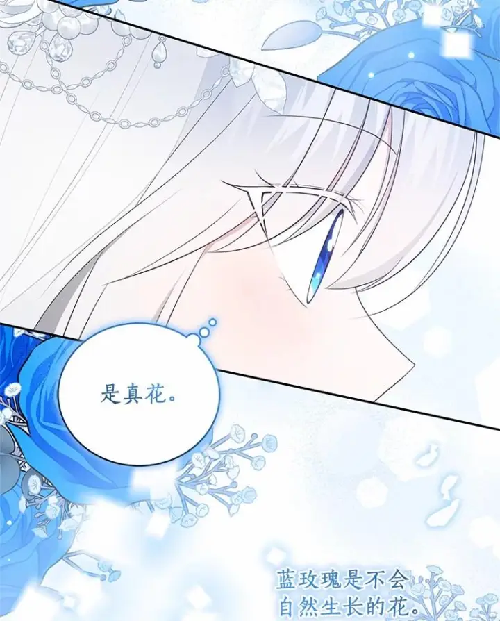 漫画《恶棍的宝贝女儿》91.奇迹（完）第95张图