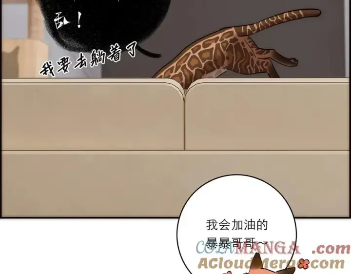漫画《恩公不做文人雅士》第70话 变回来了第45张图