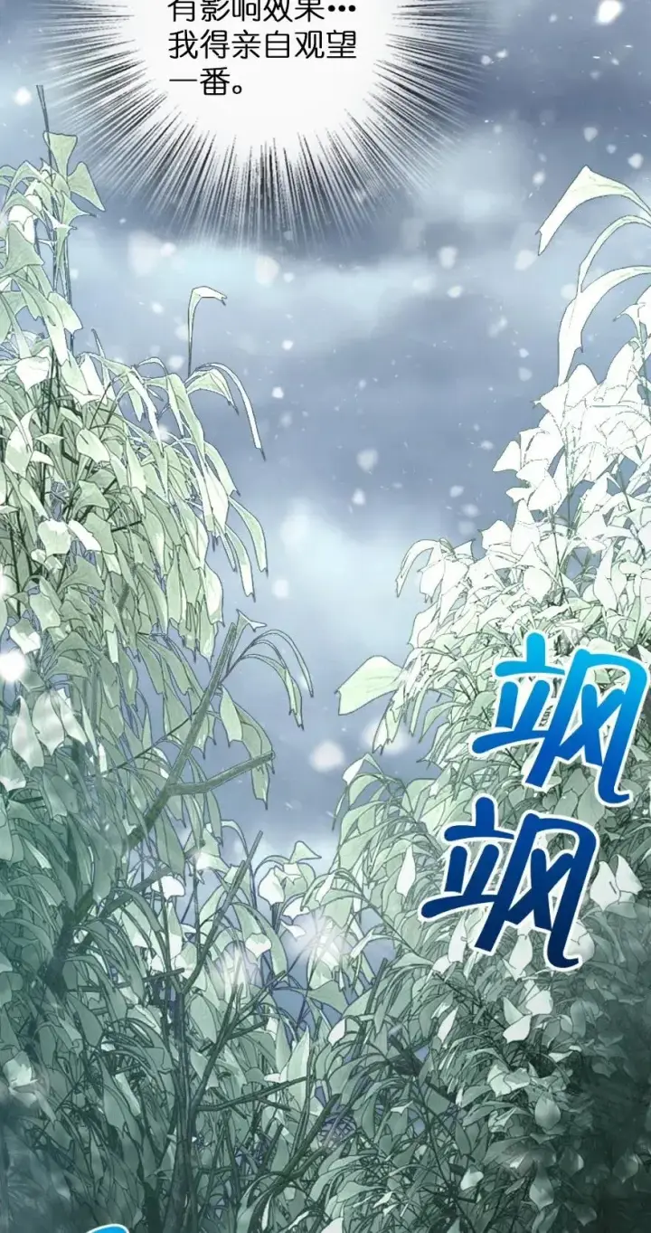 漫画《放开那个女巫》228 森林之心第15张图