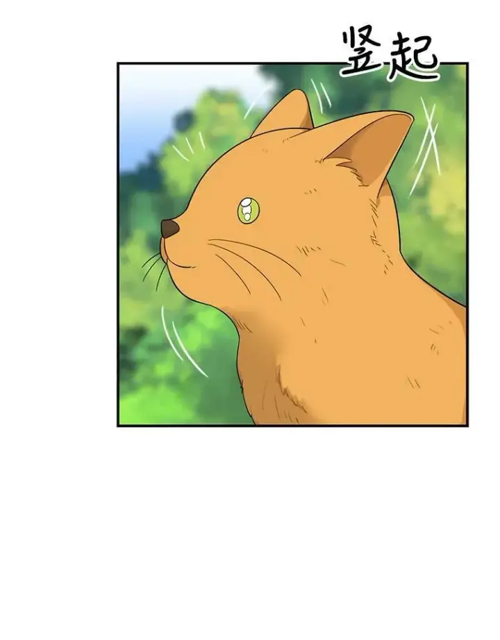 漫画《反派的继母》67.卡丽娜和猫第56张图