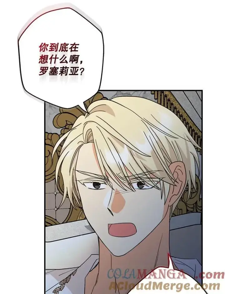 漫画《反派的继母》94.罗塞莉亚的提案第16张图
