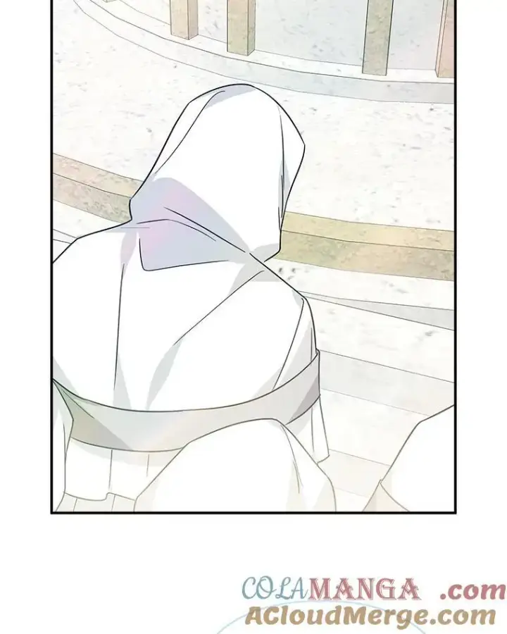 漫画《反派家族的掌权小女儿》75.看到妈妈了第17张图